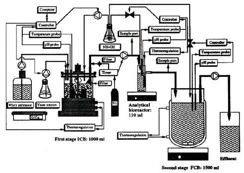 Experimental set-up